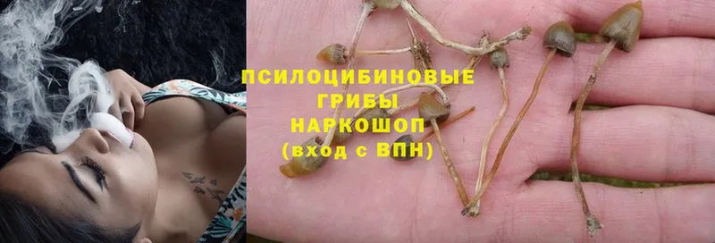 Галлюциногенные грибы GOLDEN TEACHER  Асино 